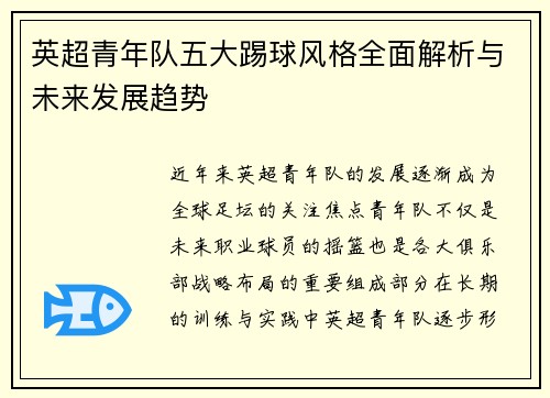 英超青年队五大踢球风格全面解析与未来发展趋势