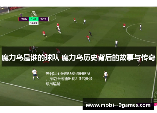 魔力鸟是谁的球队 魔力鸟历史背后的故事与传奇