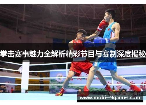 拳击赛事魅力全解析精彩节目与赛制深度揭秘 拳击赛事魅力全解析精彩节目与赛制深度揭秘